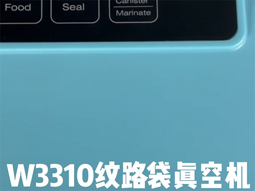 W3310纹路袋真空机